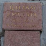 Balassi-emlékfa